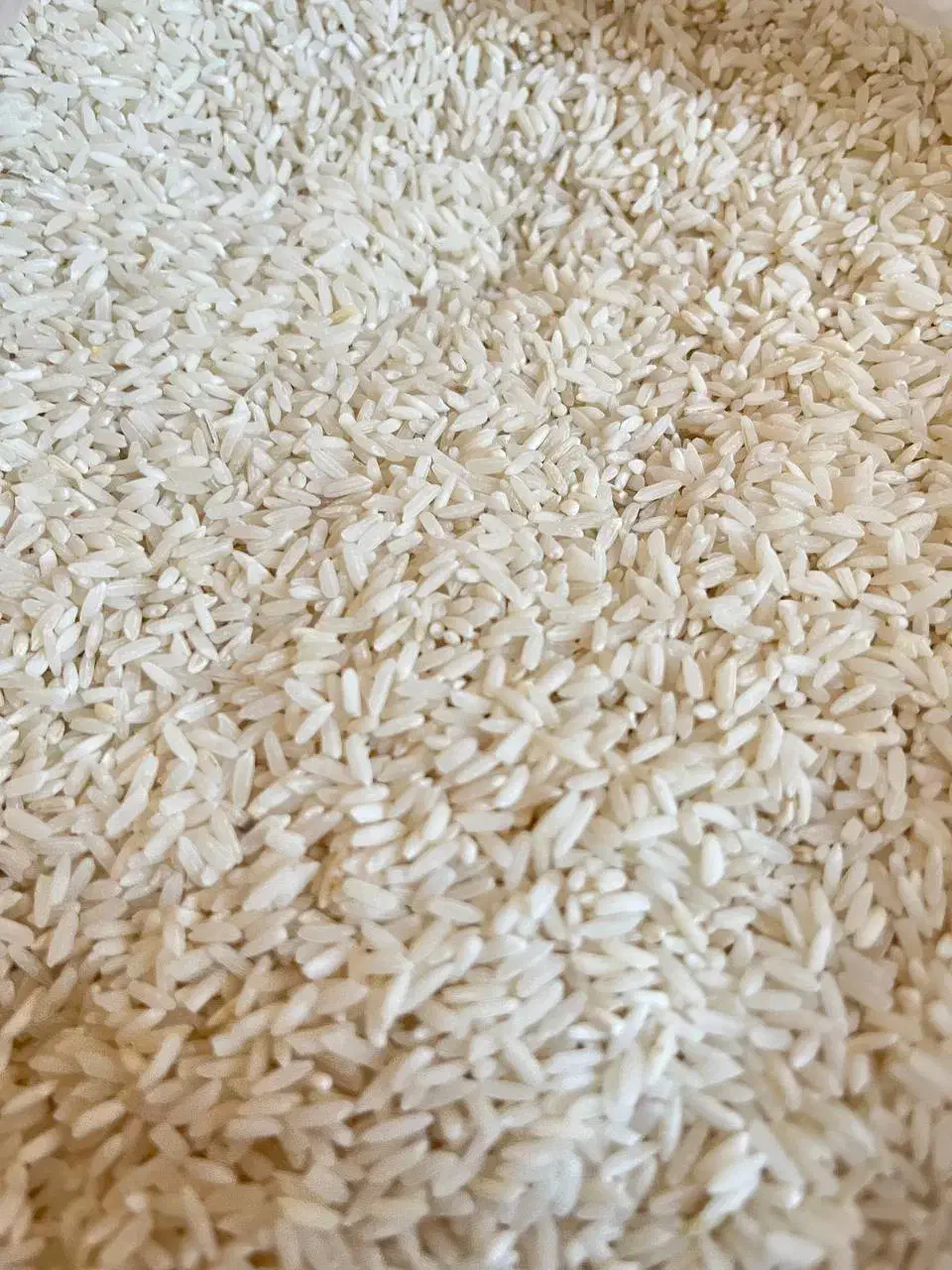 برنج|خوردنی و آشامیدنی|ایلام, |دیوار