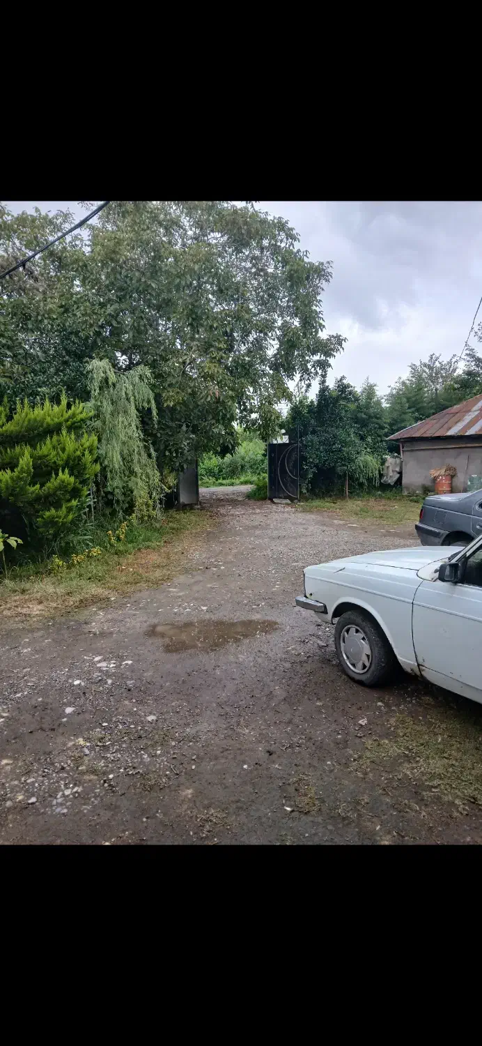 پیکان مدل ۷۹|خودرو سواری و وانت|سیاهکل, |دیوار