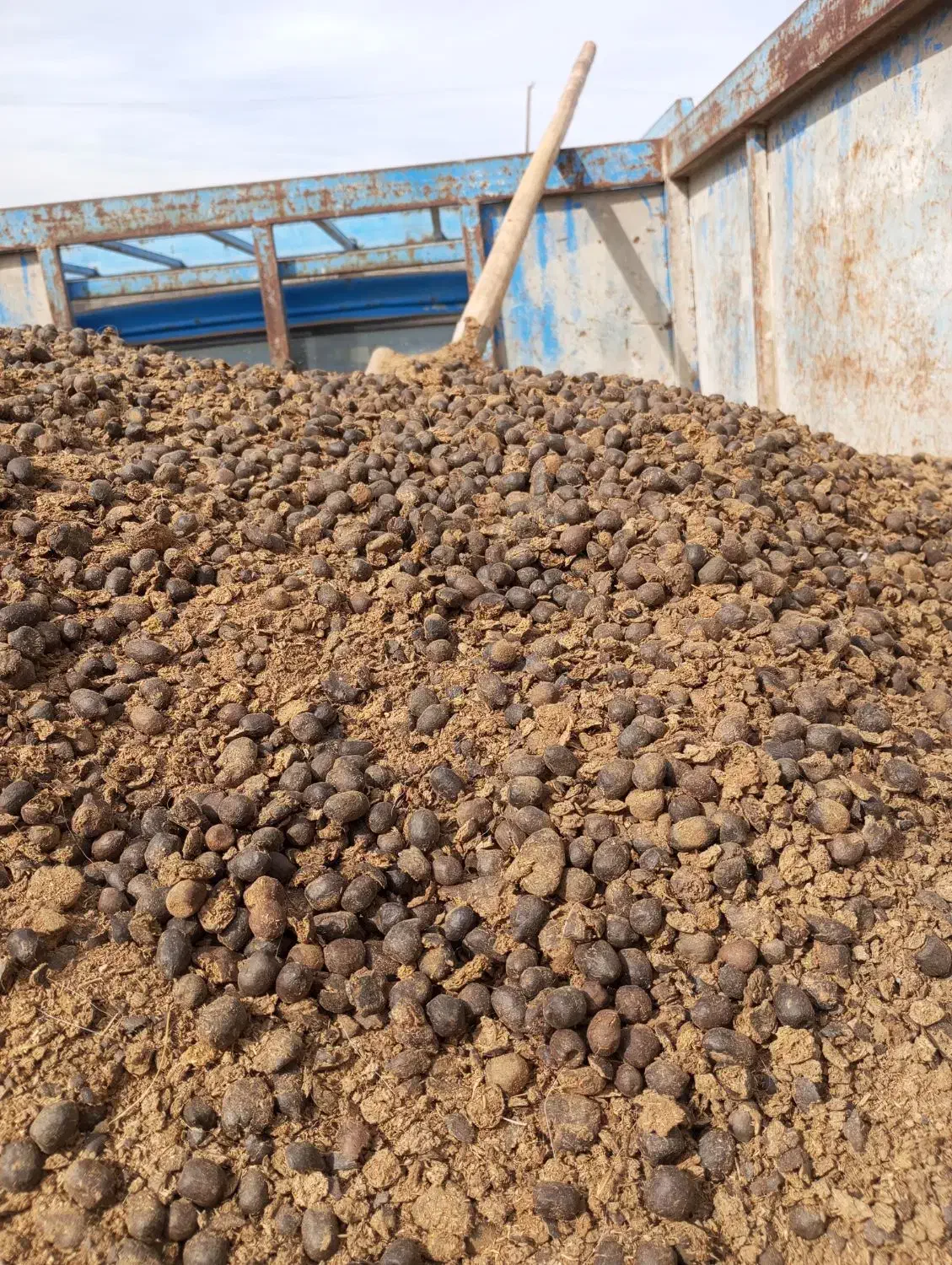 کود گوسفندی درجه یک کاملا خشک|خدمات باغبانی و درختکاری|طالقان, |دیوار