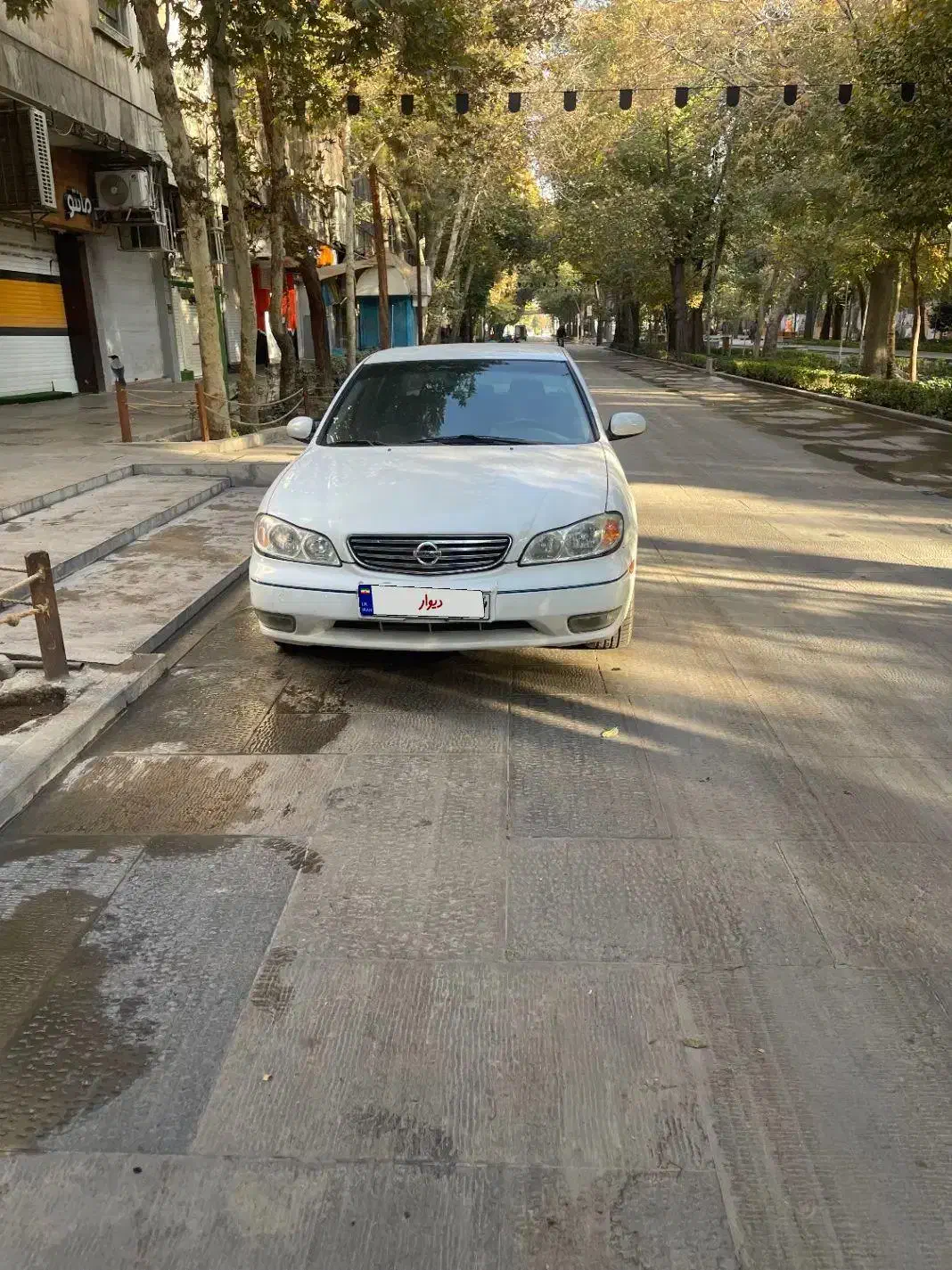 اتومبیل ماکسیما ۸۷|خودرو سواری و وانت|اصفهان, خواجو|دیوار