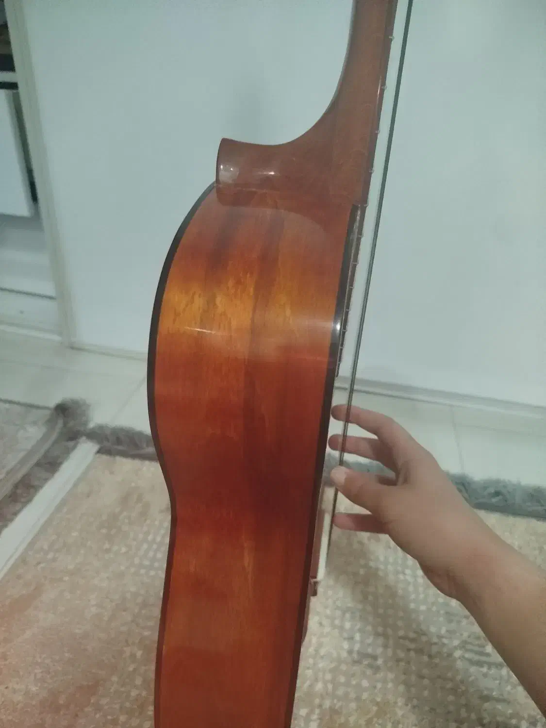 گیتار آموزشی|گیتار، بیس، امپلیفایر|بندر انزلی, آذربایجان|دیوار