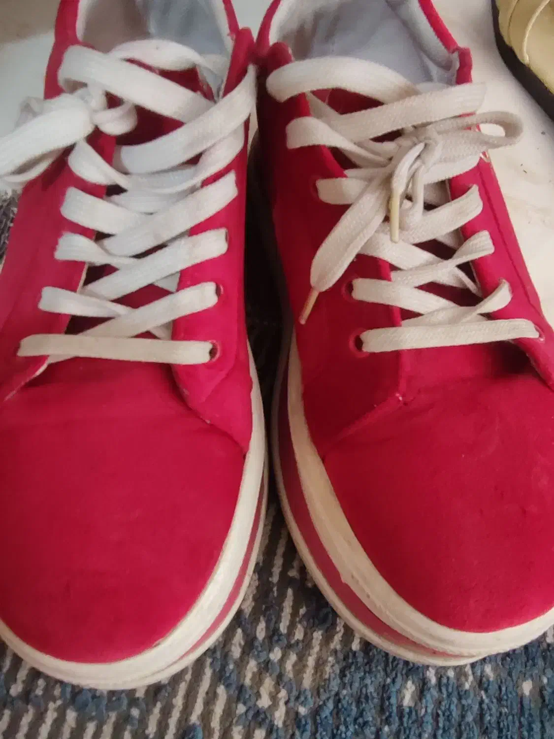 کتونی در حدنو|کیف، کفش، کمربند|ساری, |دیوار