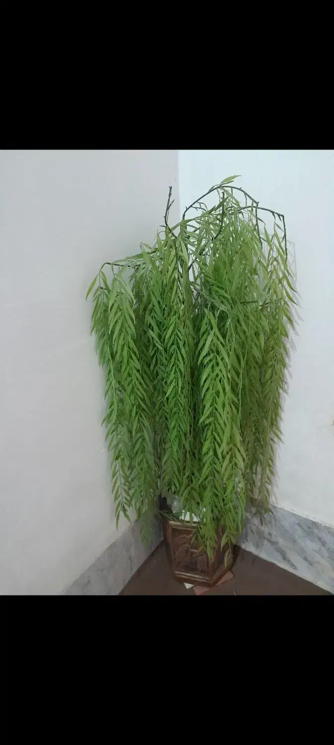 درختچه و تابلو|گل مصنوعی|اسدآباد, |دیوار
