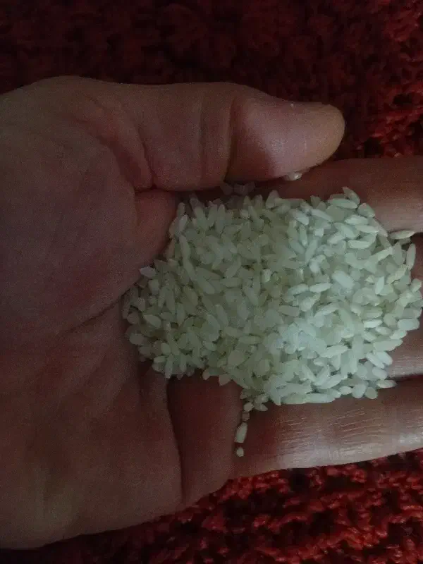 راهنمایی|فعالیت داوطلبانه تحقیقاتی|سنندج, |دیوار