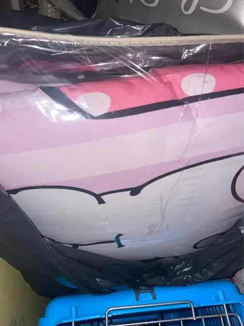 رو تختی|سرویس روتختی|پرند, فاز ۵|دیوار