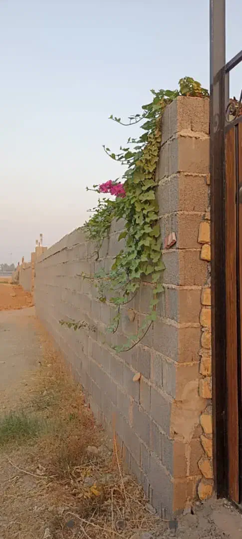 باغ ۹ دی کمربندی|فروش زمین و ملک کلنگی|اندیمشک, |دیوار