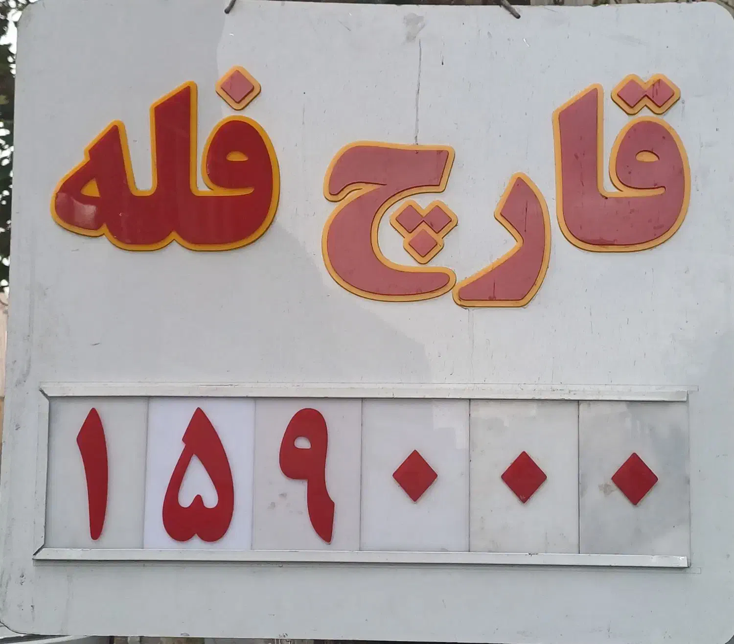 قابلو سازی قارچ|تابلو، نقاشی، عکس|تهران, شهمیرزادی|دیوار