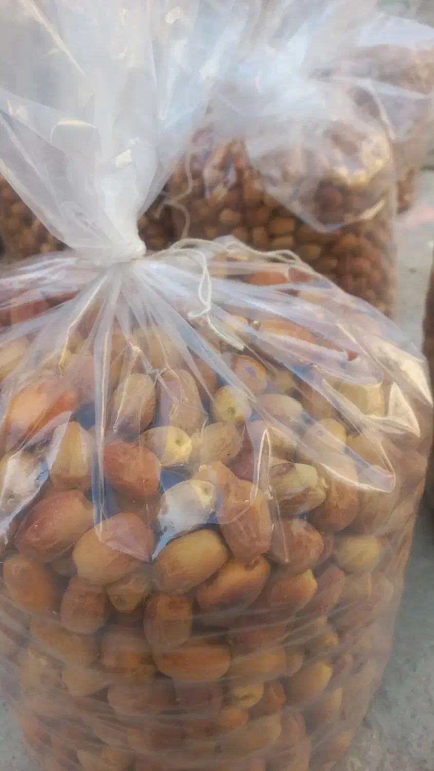 فروش قصب کلی وجزیی|خوردنی و آشامیدنی|شیراز, آزادگان|دیوار