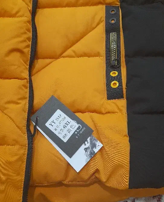 کاپشن|لباس|بروجرد, |دیوار