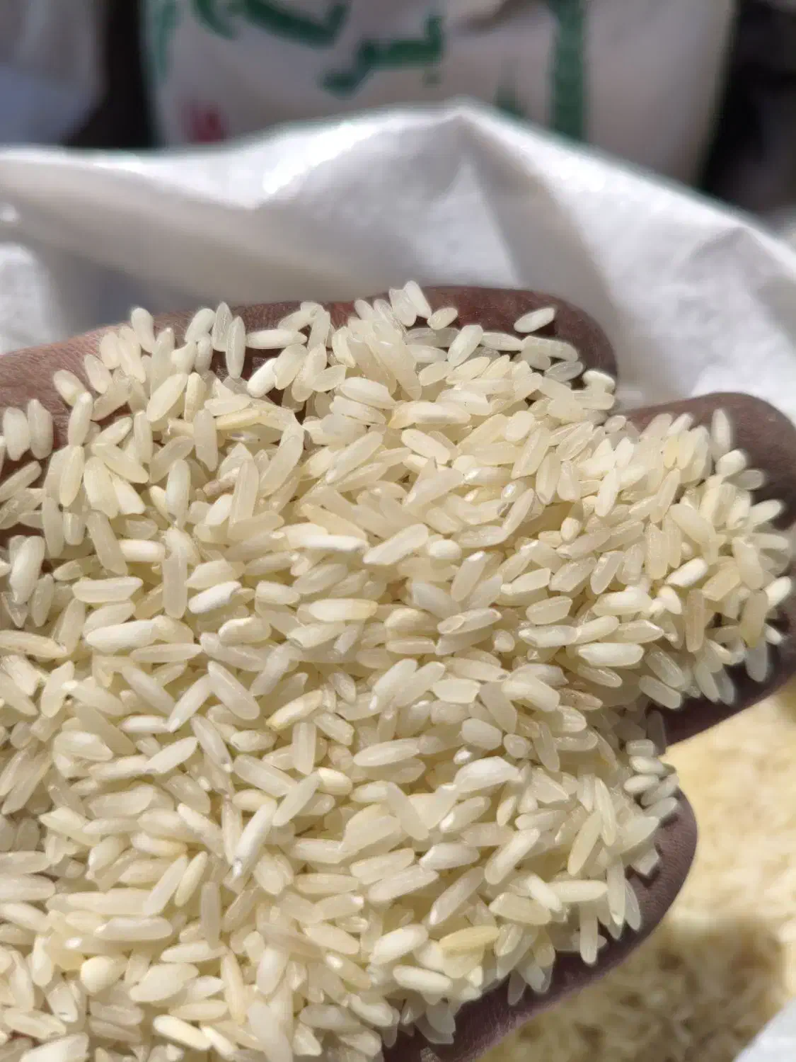 برنج چمپا وعنبر بو|خوردنی و آشامیدنی|بروجن, |دیوار