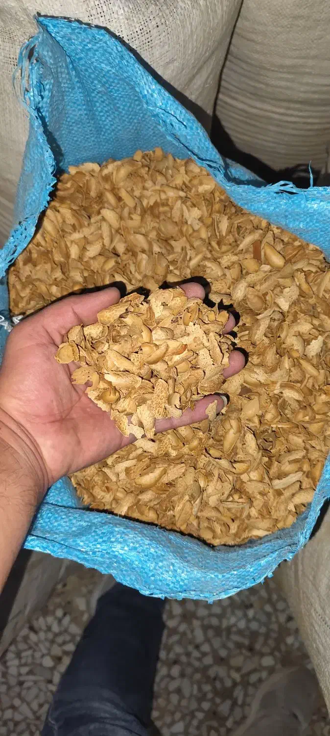 پوست بادام|خدمات باغبانی و درختکاری|نجف‌آباد, یزدانشهر|دیوار