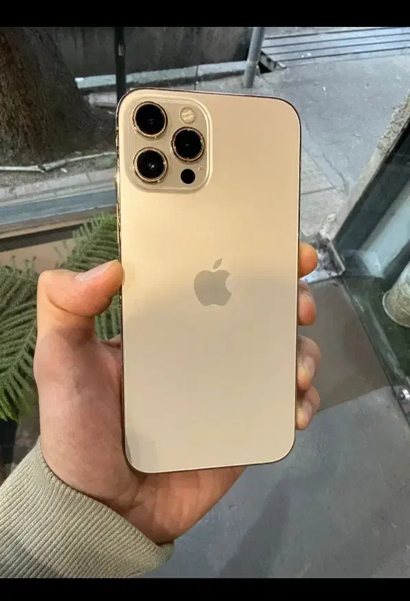 12پرومکس|موبایل|مریوان, |دیوار