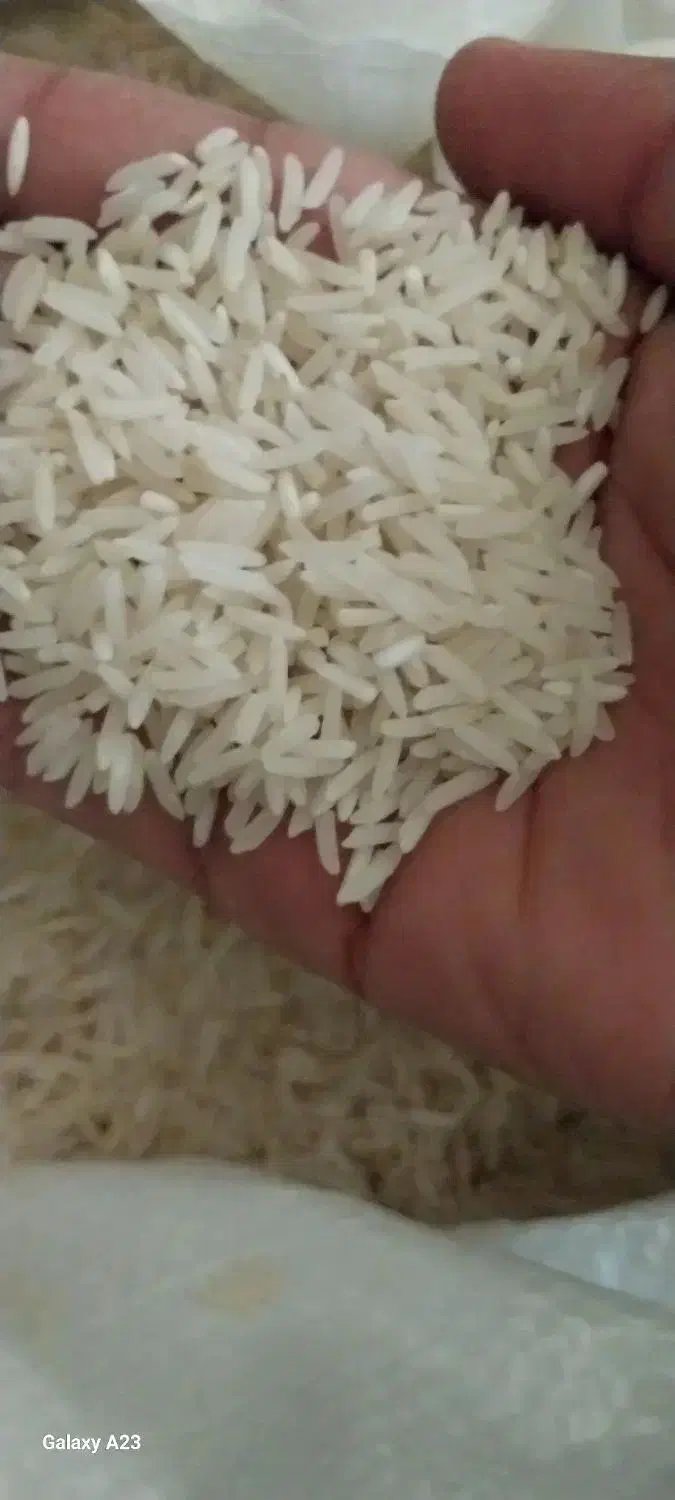 برنج ۹۰ روز|خوردنی و آشامیدنی|گرگان, |دیوار