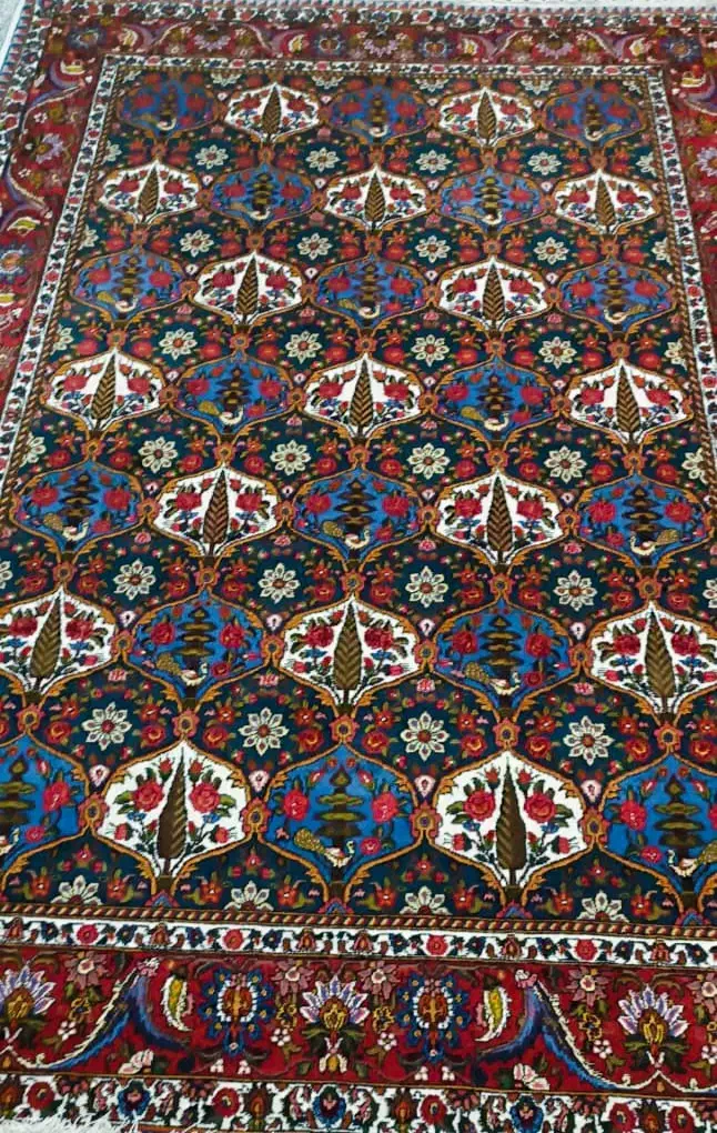 قالی خانگی  طرح سرو و کاج|فرش|شهرکرد, |دیوار