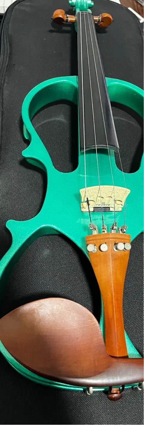 ویولن الکتریک|ویولن|گرگان, |دیوار