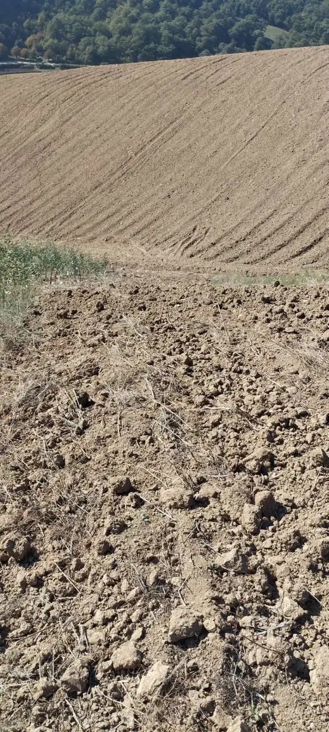فروش زمین در روستای سوسرا|فروش زمین و ملک کلنگی|نوده خاندوز, |دیوار