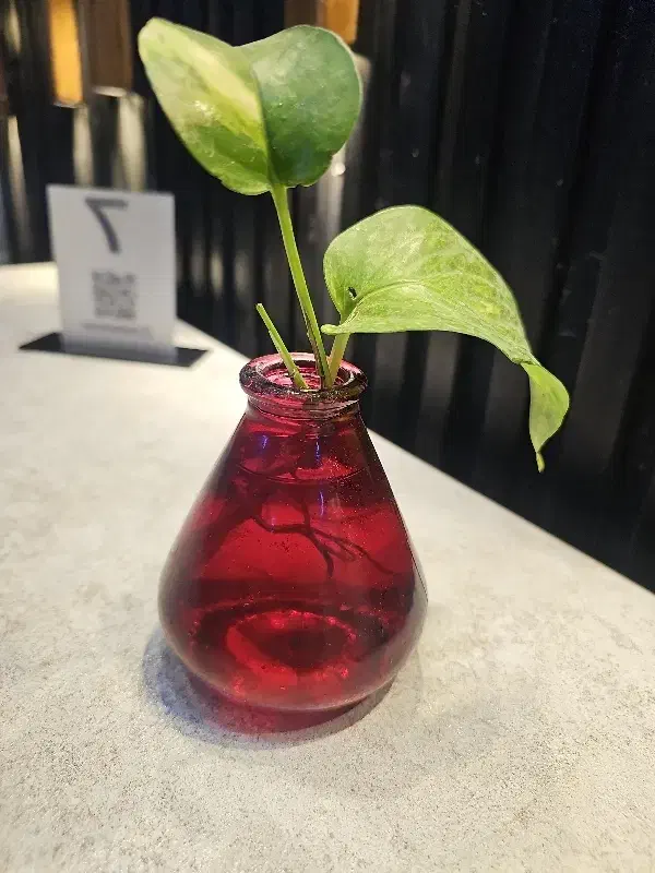 به یک بازنشسته باسابقه برای مدیریت یک مجموعه|استخدام خدمات فروشگاه و رستوران|تاکستان, |دیوار