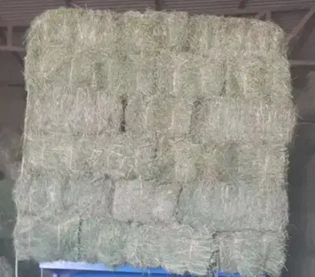 بیده یونجه|لوازم جانبی حیوانات|فیروزه, |دیوار