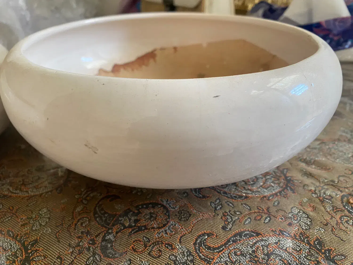 گلدون بنسای|گل و گیاه طبیعی|قم, امامزاده ابراهیم|دیوار