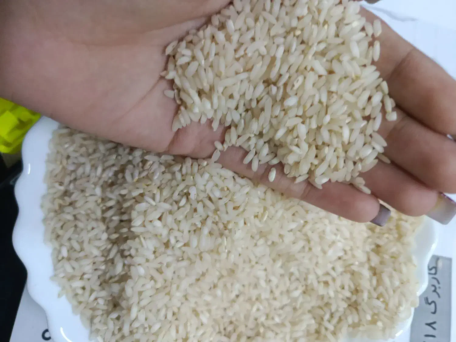 برنج درجه یک|خوردنی و آشامیدنی|شوشتر, |دیوار