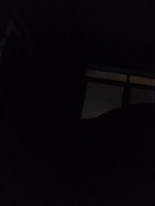 تخت دو نفره|تخت و سرویس خواب|رشت, منظریه|دیوار