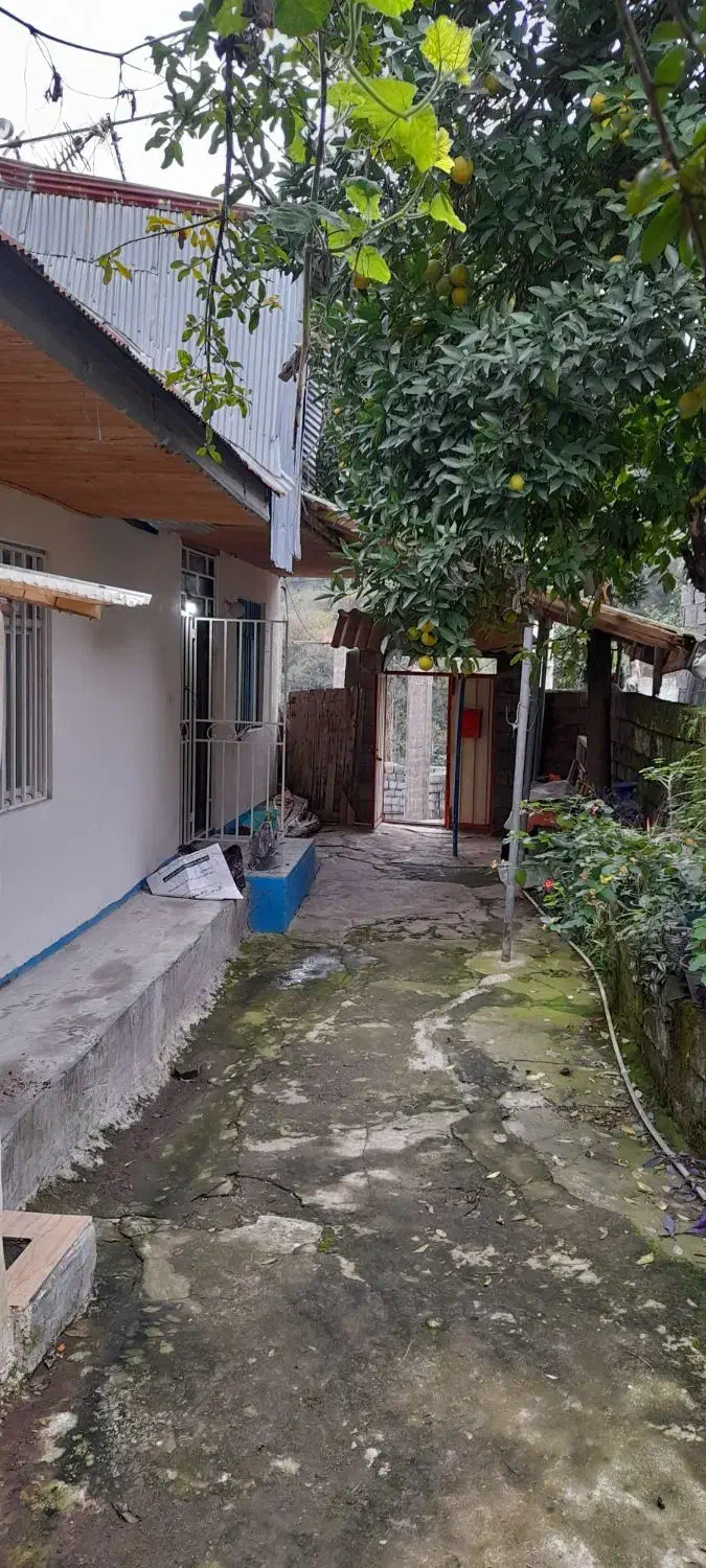 فروش خانه ویلایی|فروش خانه و ویلا|لنگرود, |دیوار