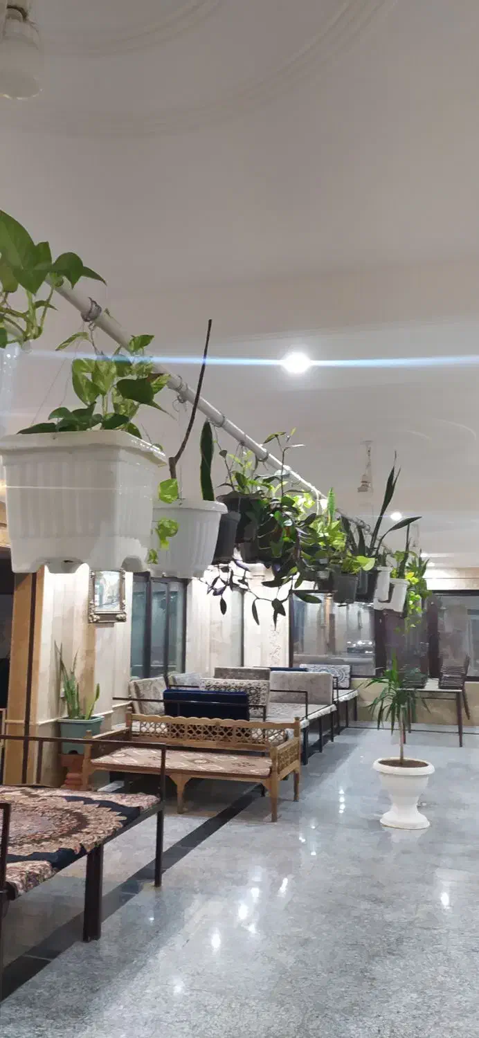 گل گیاه تزیینی.|گل و گیاه طبیعی|کهک, |دیوار