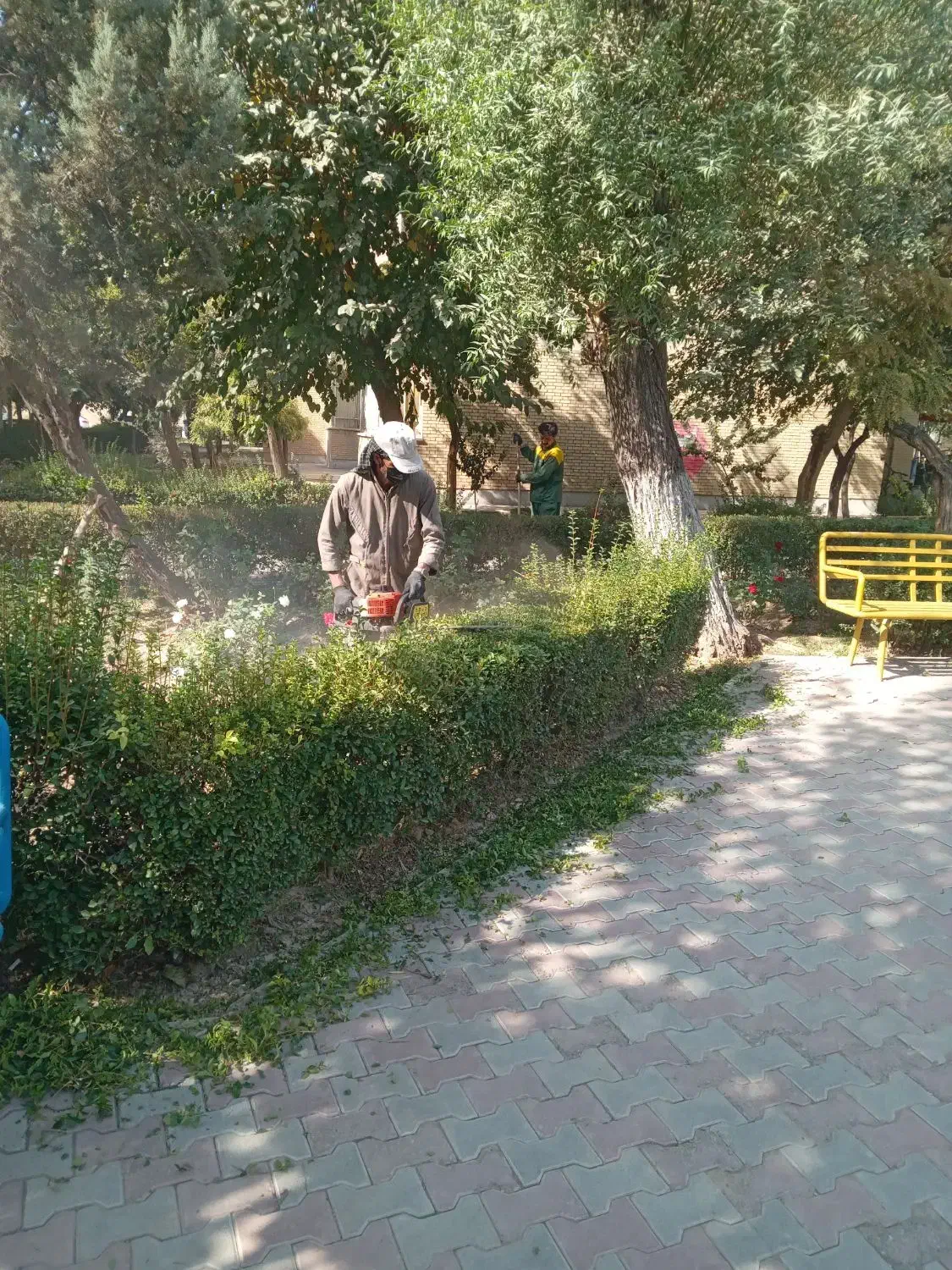 کارگر فضای سبز|استخدام سرایداری و نظافت|تهران, امام زاده عبدالله|دیوار