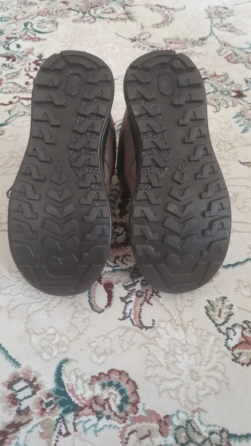 کفش|کیف، کفش، کمربند|نیشابور, گنبد سبز|دیوار