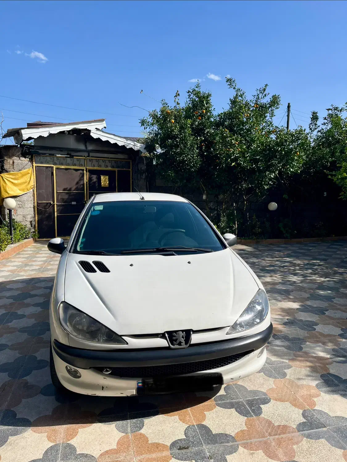 پژو ۲۰۶ تیپ ۲|خودرو سواری و وانت|تنکابن, |دیوار