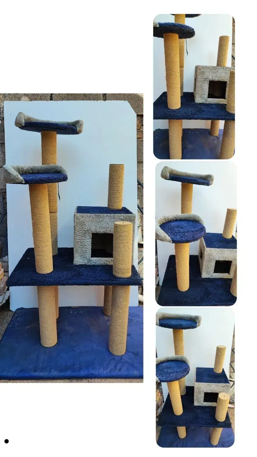 اسکرچر گربه|لوازم جانبی حیوانات|تربت جام, باغ سنگان سفلی|دیوار