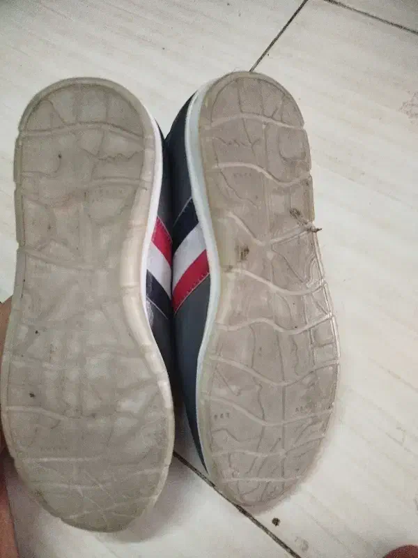 کیف پاسپورتی وکفش سالنی|کیف، کفش، کمربند|اصفهان, عسگریه|دیوار