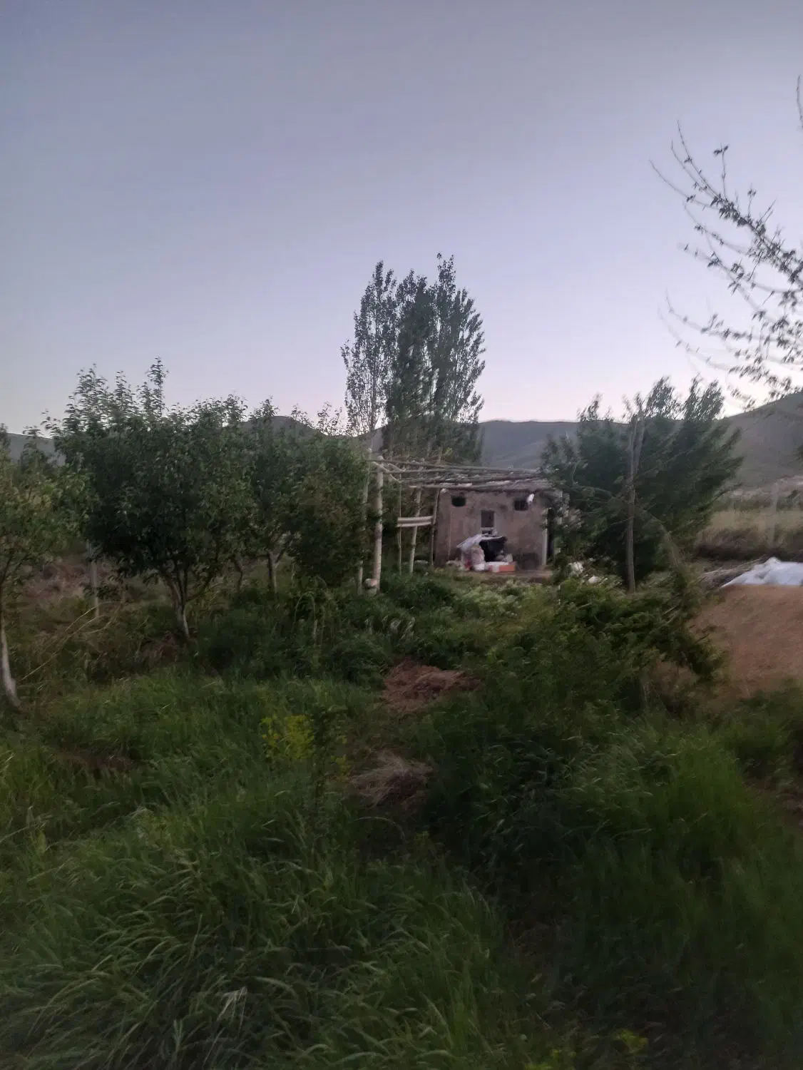 باغ فروشی ـ  روستای ویهج|فروش زمین و ملک کلنگی|قروه, |دیوار