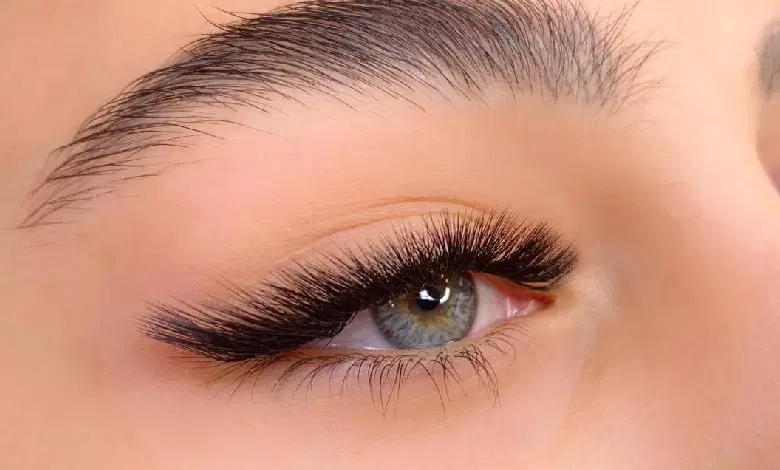 مژه|بدلیجات|مشهد, شهید فرامرز عباسی|دیوار
