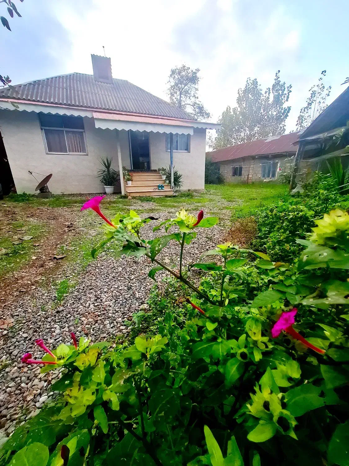 خونه شالیزار6900مترکوچصفهان ب خشکبیجار،لشتنشا،رشت|فروش خانه و ویلا|خمام, |دیوار