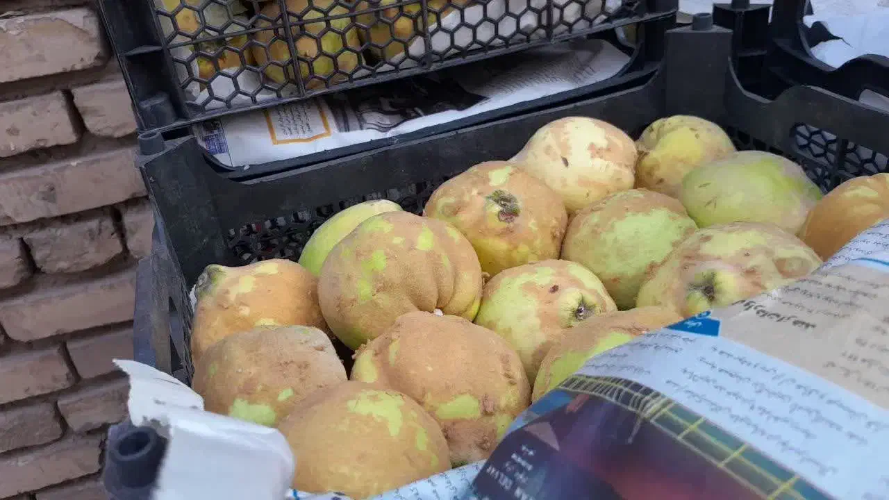 به اصفهان درجه یک|خوردنی و آشامیدنی|مشهد, ایثارگران|دیوار