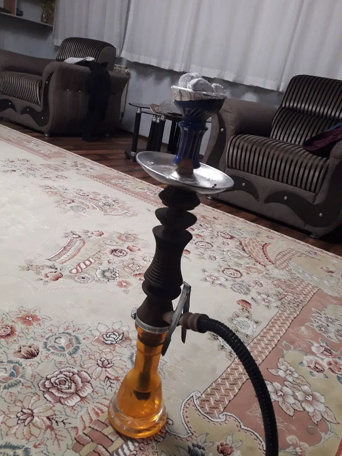 قلیان|کلکسیون و سرگرمی|قم, انسجام|دیوار