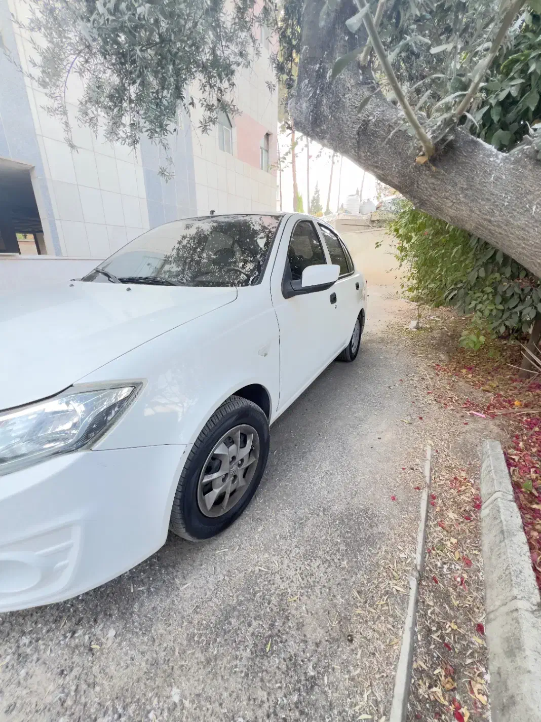 ساینا|خودرو سواری و وانت|شیراز, کوی زهرا|دیوار