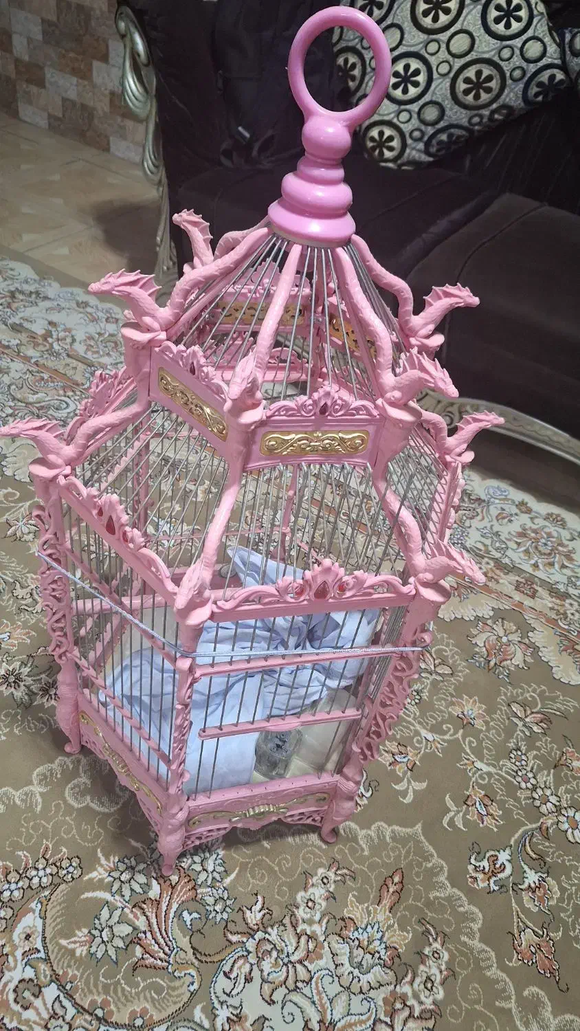 قفس و باکس سگ گربه|لوازم جانبی حیوانات|اصفهان, قهجاورستان|دیوار