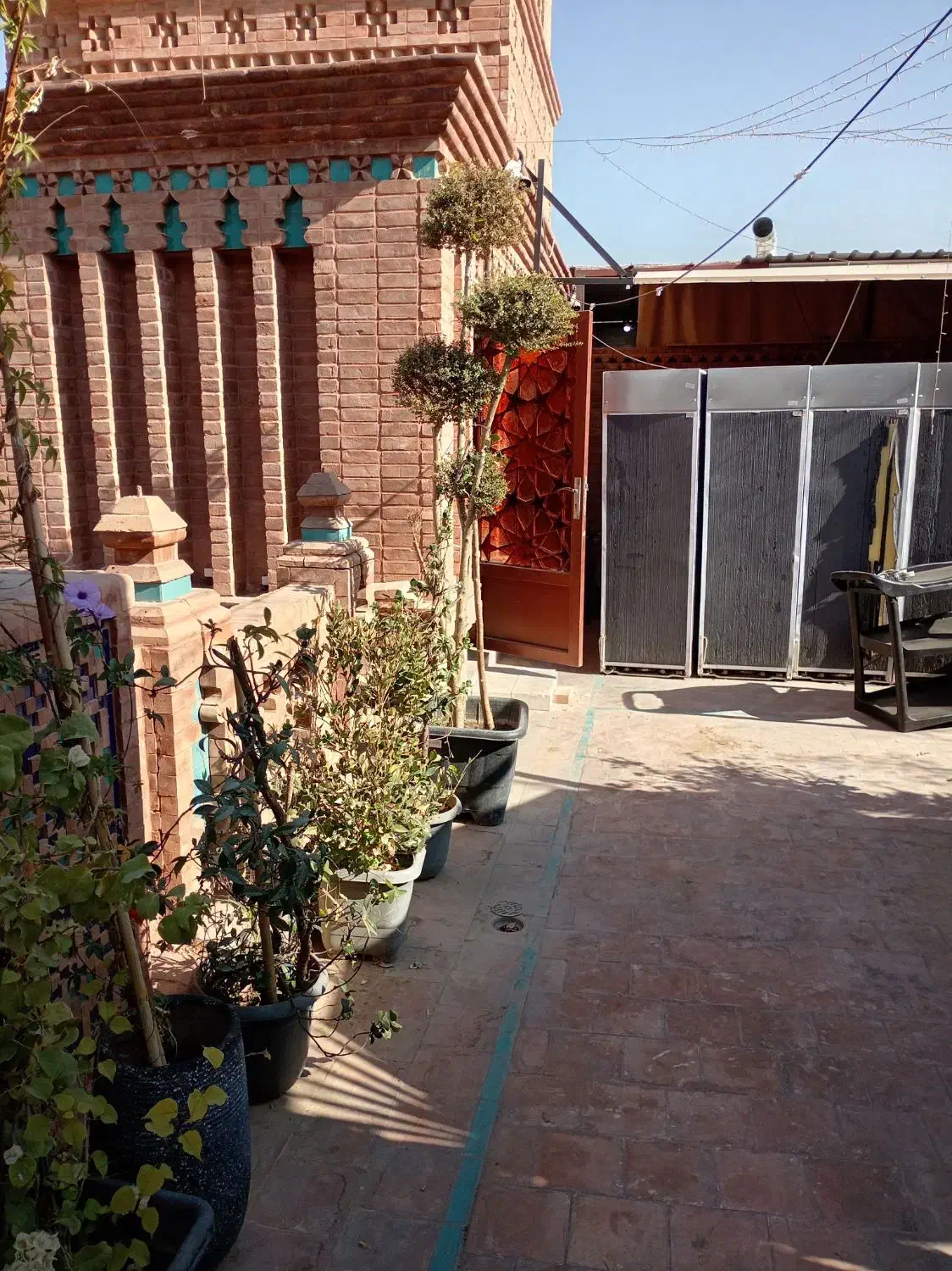 گل وگیاه|گل و گیاه طبیعی|شیراز, بازار|دیوار