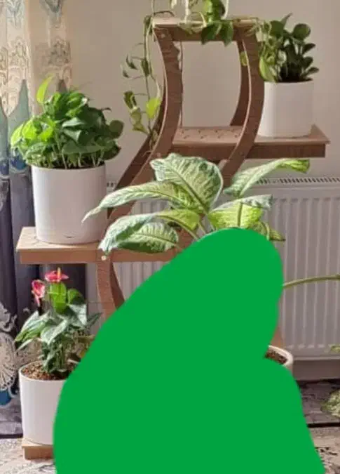 استند گل|گل و گیاه طبیعی|یزد, |دیوار