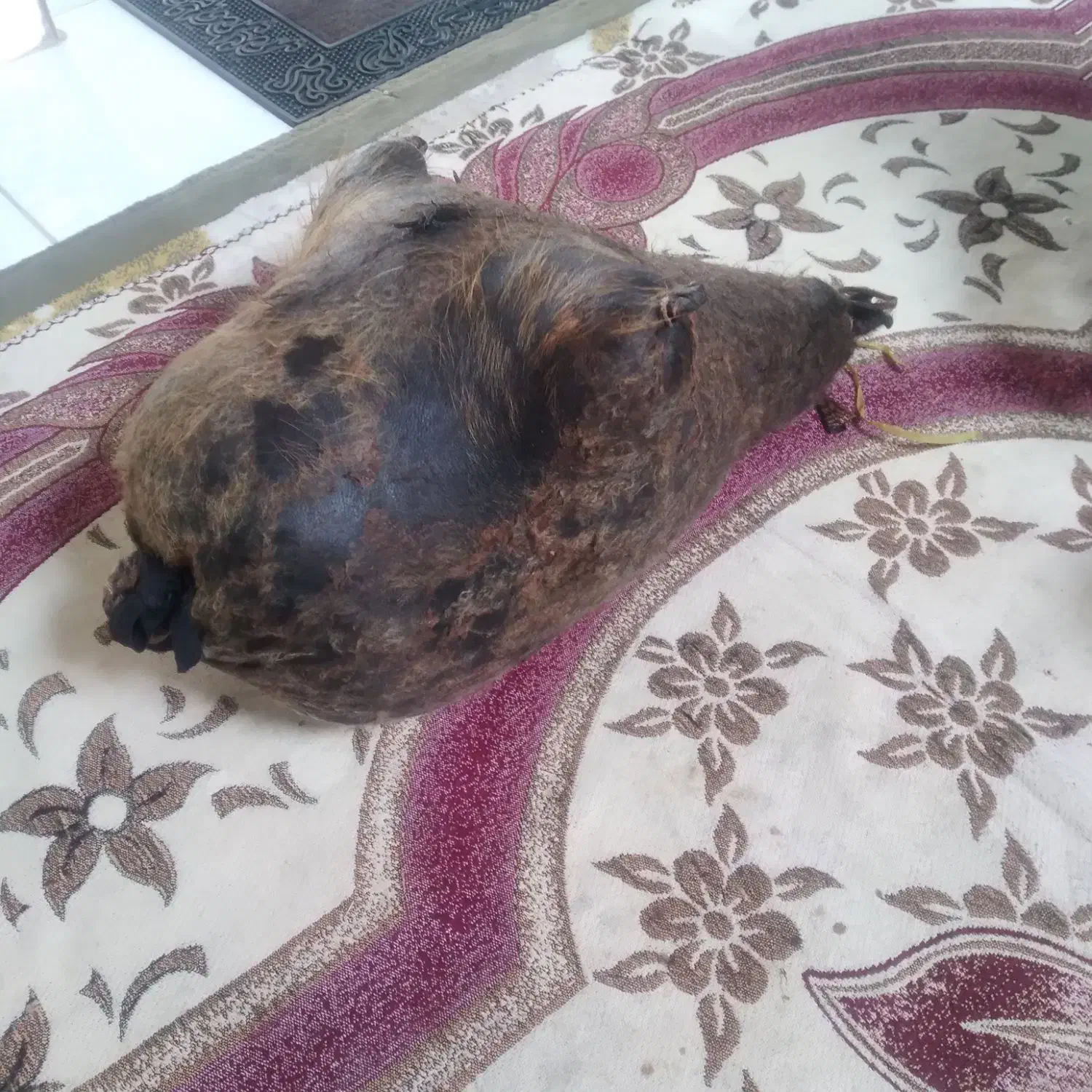 هیزه|ظروف نگهدارنده، پلاستیکی، یک‌بارمصرف|ایلام, |دیوار