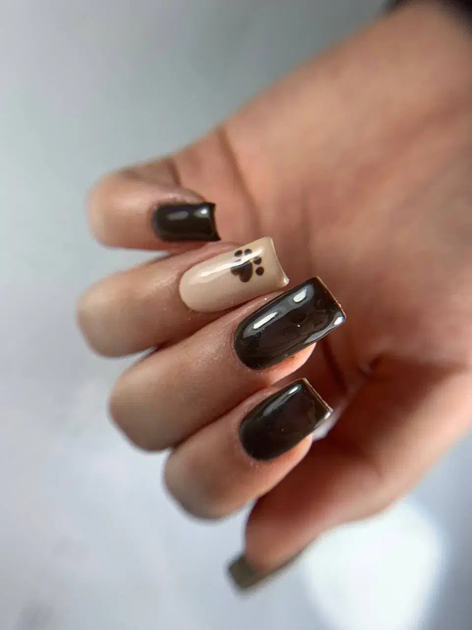 نیاز به چندتا مدل برای لمینت و کاشت ناخن|خدمات آرایشگری و زیبایی|کوچصفهان, |دیوار