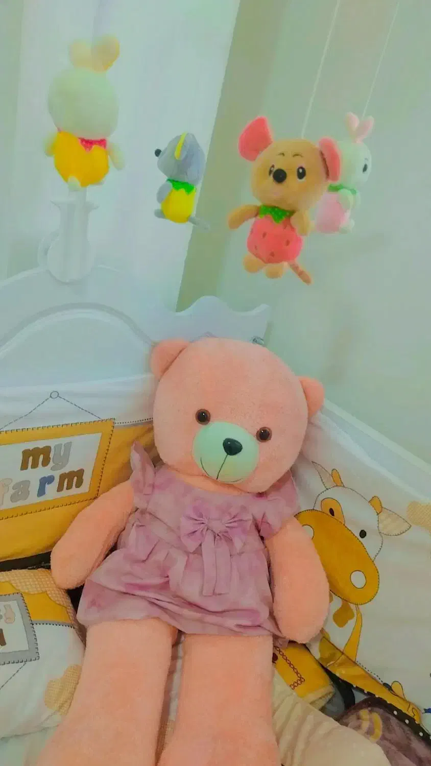 گمشده اشیا|اشیا|سبزوار, امیر کبیر|دیوار