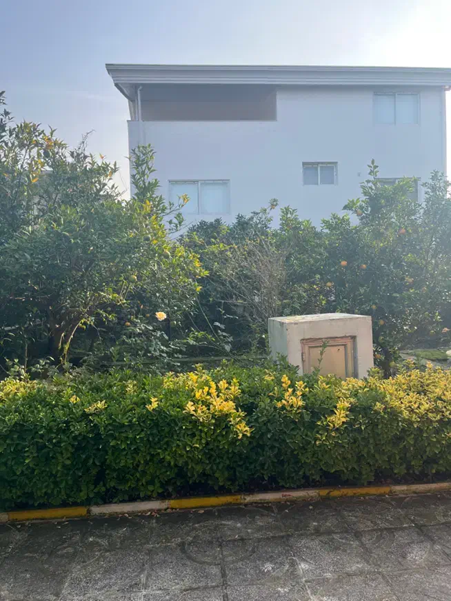 فروش ویلا باغ شهرکی ۶۰۰متری در منطقه نمک آبرود|فروش خانه و ویلا|هچیرود, |دیوار