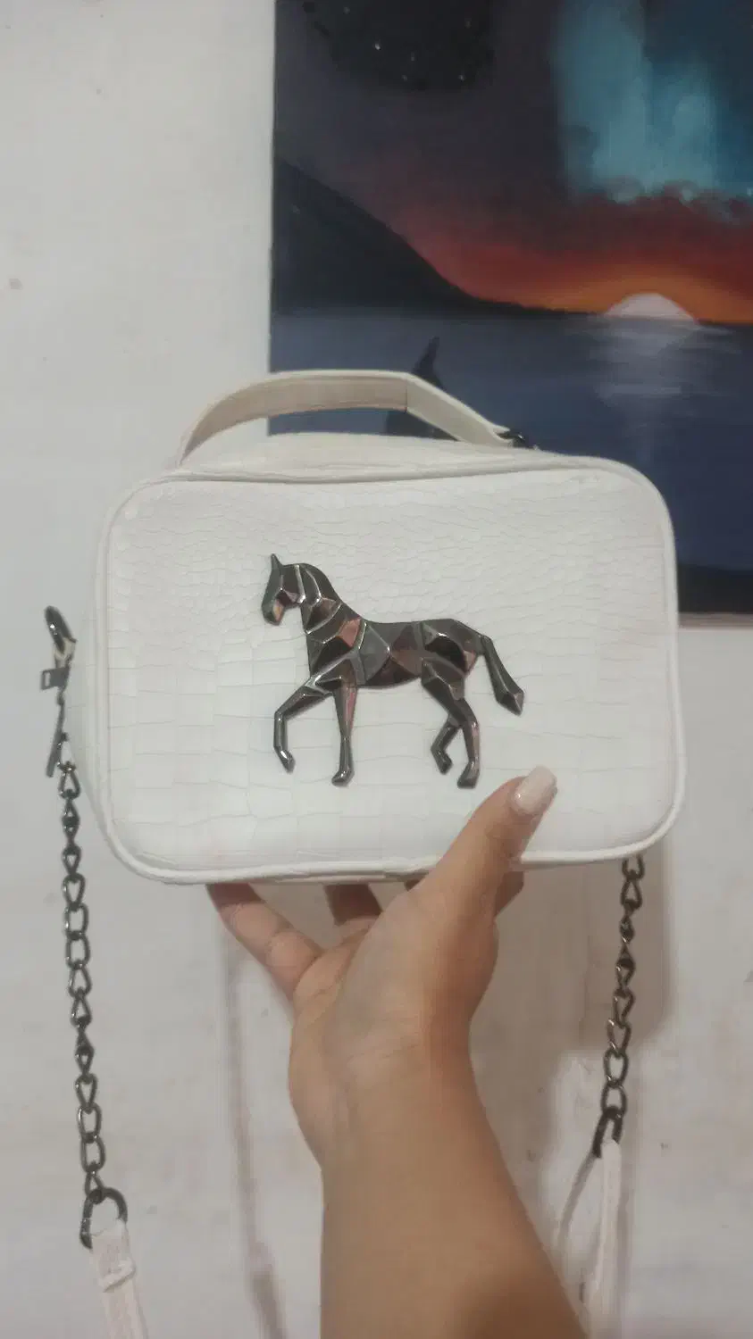 کیف دخترونه|کیف، کفش، کمربند|کرمان, |دیوار