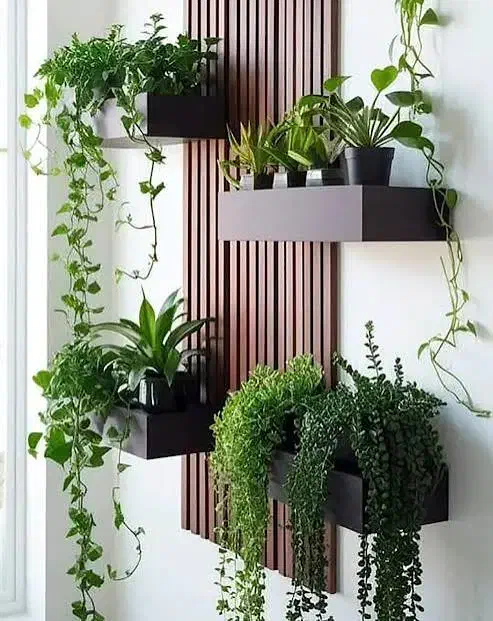 مسافر کرج|فعالیت داوطلبانه|دهدشت, |دیوار