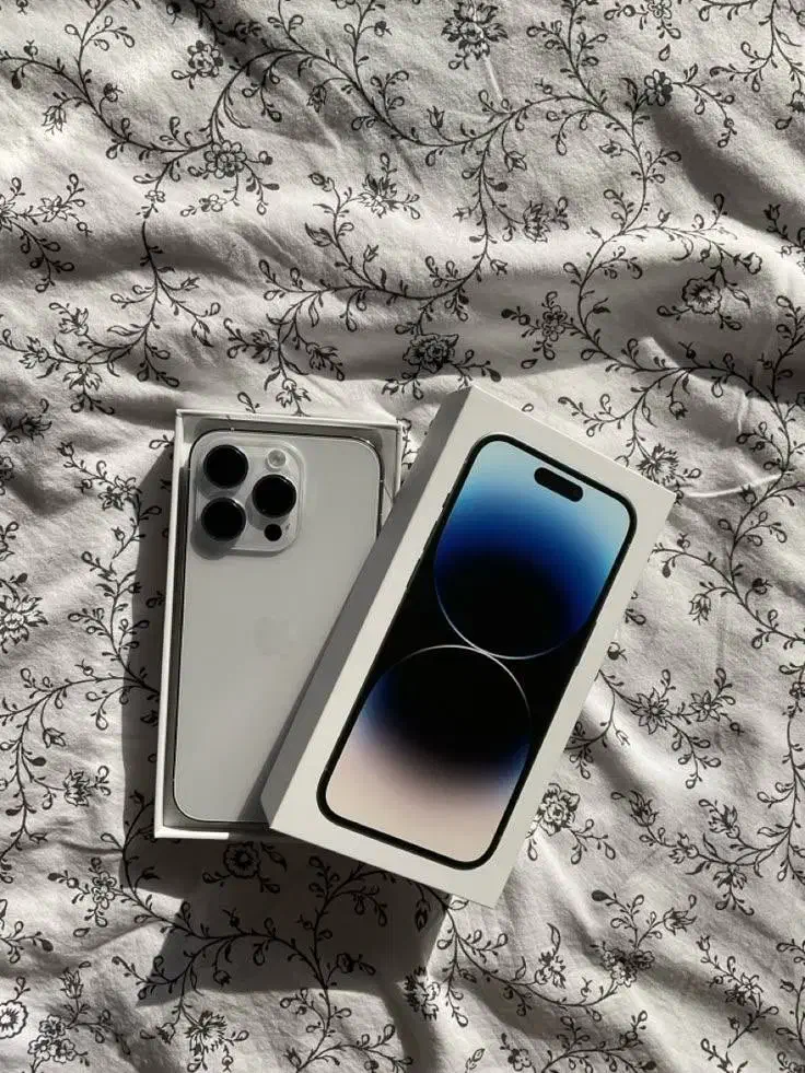 14promax-256|موبایل|مشهد, بهشت|دیوار