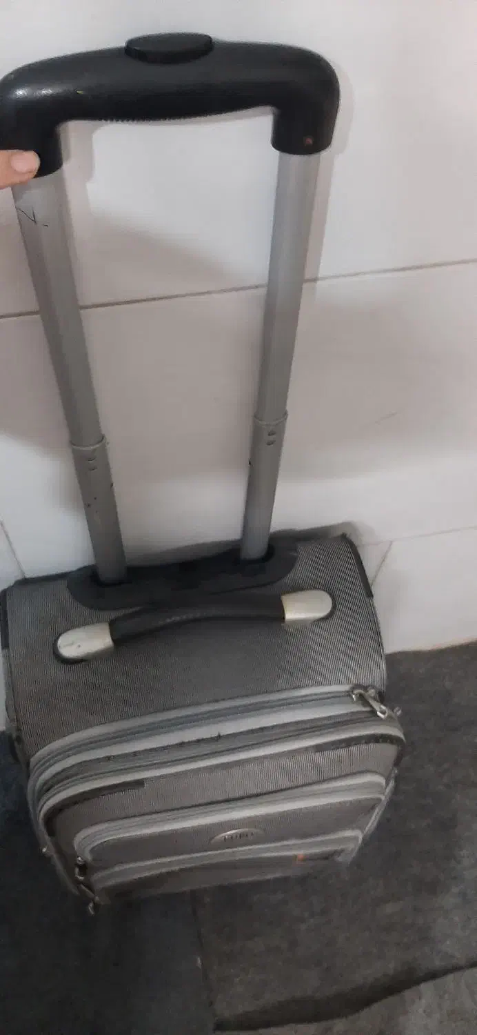 چمدان|کیف، کفش، کمربند|نسیم‌شهر, |دیوار