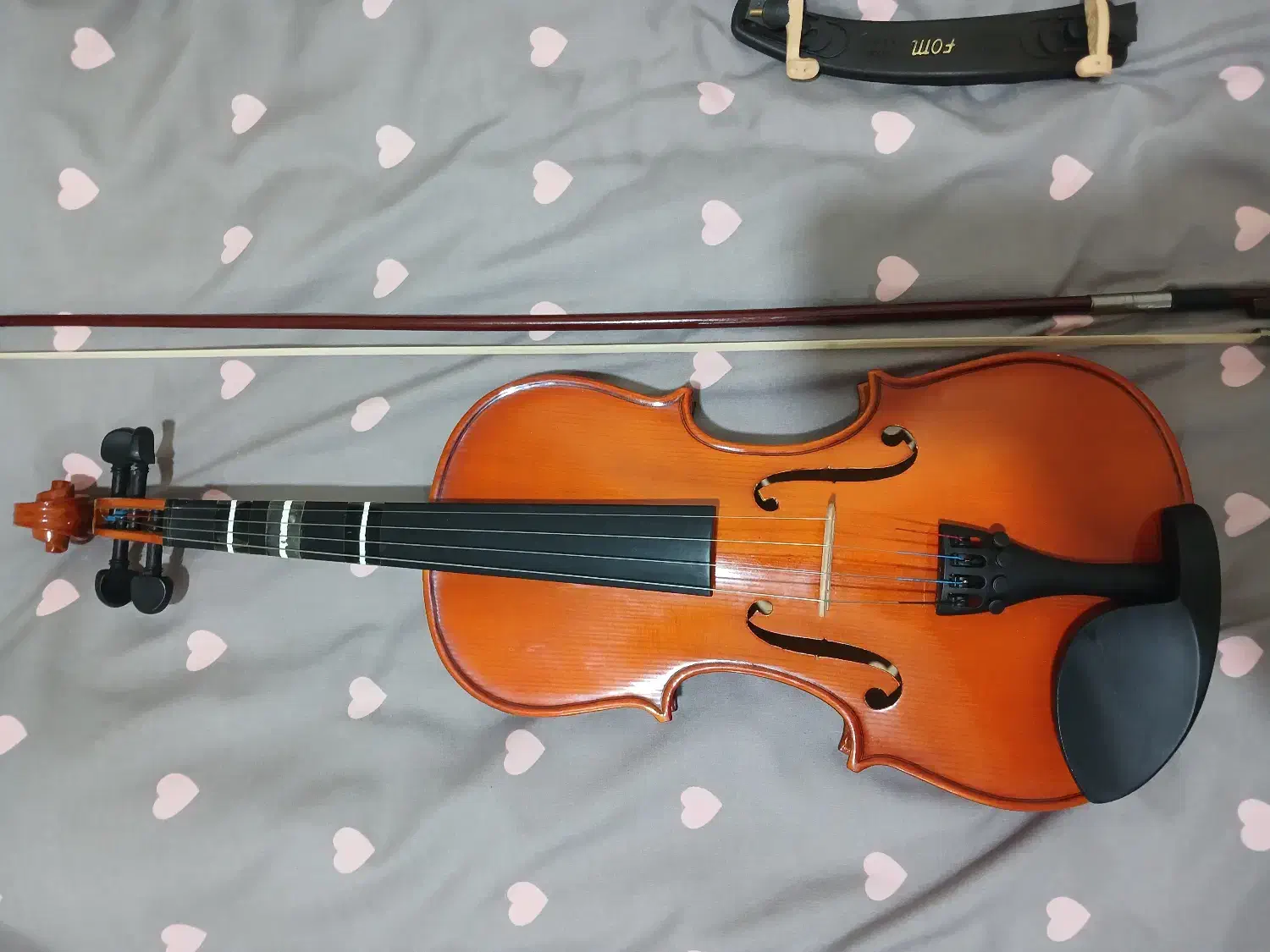 ساز موسیقی|ویولن|اراک, |دیوار